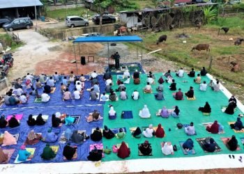 LDII Tebar Kurban di Tengah Pandemi