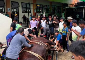 Semangat Gotong Royong dan Kepedulian Sosial Warnai Kurban LDII Balikpapan Tengah
