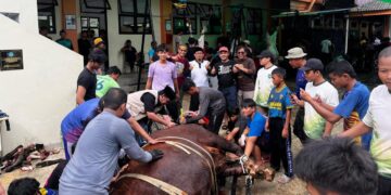 Semangat Gotong Royong dan Kepedulian Sosial Warnai Kurban LDII Balikpapan Tengah