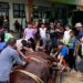 Semangat Gotong Royong dan Kepedulian Sosial Warnai Kurban LDII Balikpapan Tengah