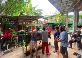 Tebar Kebahagiaan Iduladha, PC LDII Balikpapan Timur Salurkan Kurban 20 Sapi dan 5 Kambing