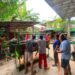 Tebar Kebahagiaan Iduladha, PC LDII Balikpapan Timur Salurkan Kurban 20 Sapi dan 5 Kambing
